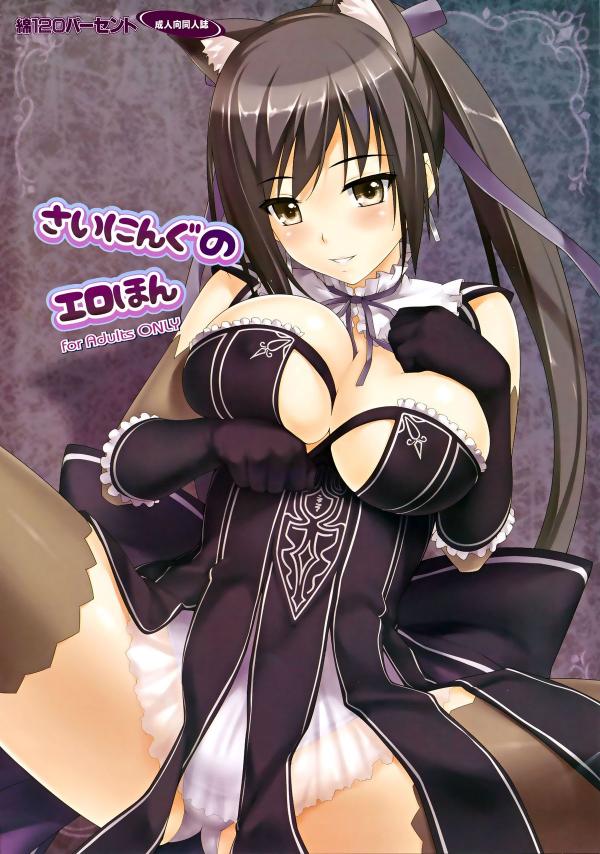 Shining Blade - Shining no Erohon | S_ining Erotic Book